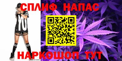 хмурый Малгобек