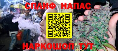 PSILOCYBIN Малоярославец