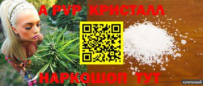 хмурый Малгобек