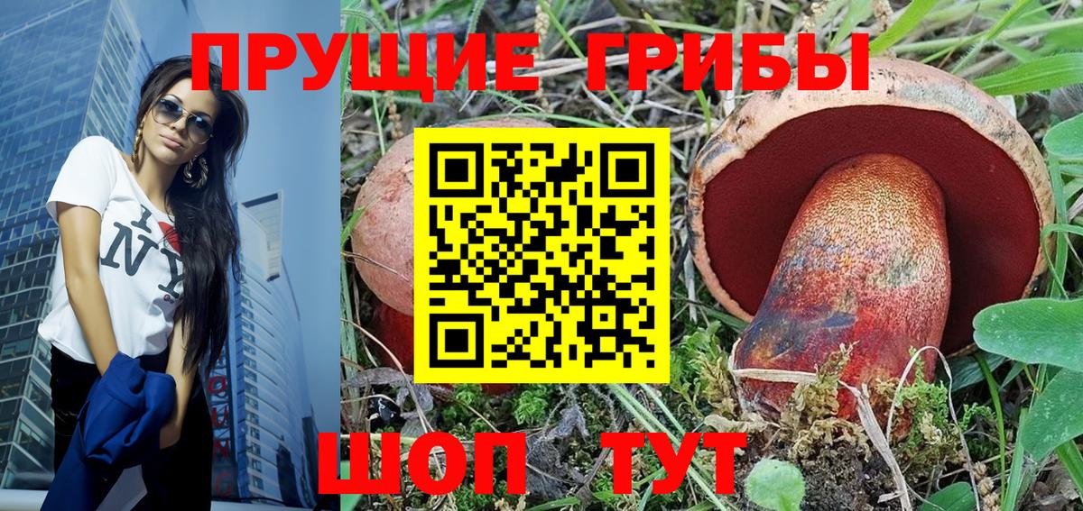 Фрязино  Галлюциногенные грибы Cubensis  Вход с VPN  Псилоцибиновые грибы Psilocybine cubensis 